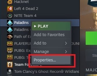 paladins settings launch options best performance