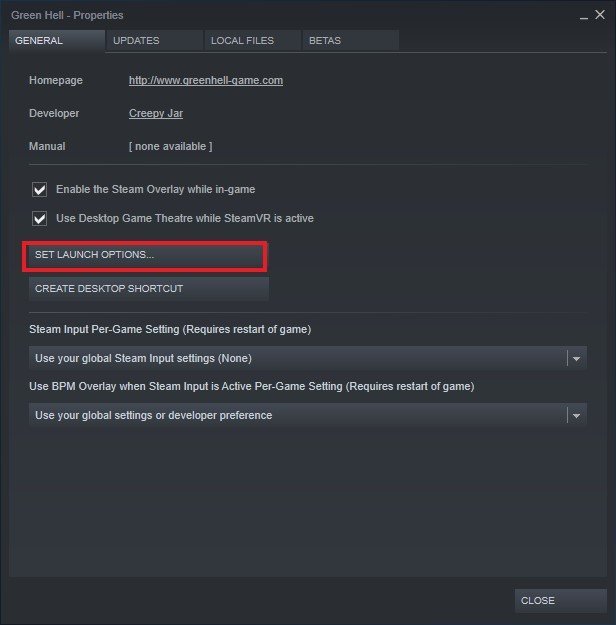 green hell steam launch options