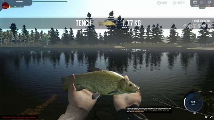 3d carp fishing game free